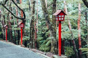 Red lanterns and green forest near mount Fuji