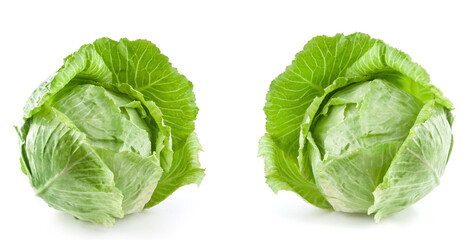 Fototapeta premium Green cabbage isolated on white background