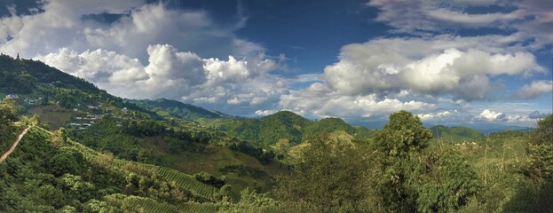 Mountains, Landscapes and Vineyards 