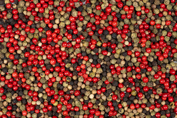 Background of a mix of colorful peppercorns top view