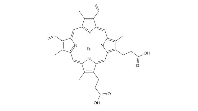 heme b molecule, structural chemical formula, ball-and-stick model, isolated image heme