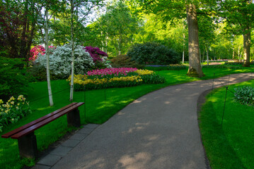 Garden stone path in a botanical garden