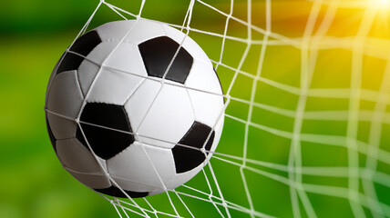 Soccer ball in goal on grass