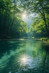Obraz premium A bright and peaceful view of a lush forest with a crystal clear stream that reveals the rocks beneath. Sunlight filters through tall trees. No people. A natural scene suitable for ecotourism.