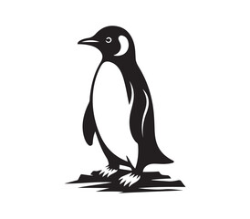 penguin on a white background