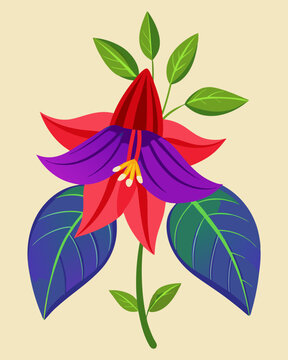 Copihue flower (Chilean Bellflower) illustration