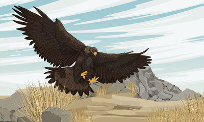 Big golden eagle takes off from rocky dry mountain valley. Realistic vector landscape