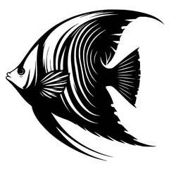 angel fish silhouette isolated on white