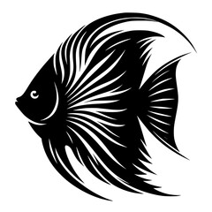 fish isolated on white, angel fish silhouette isolated on white