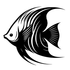 angel fish silhouette isolated on white