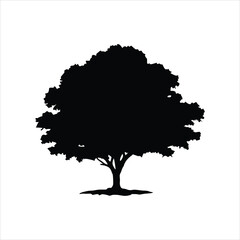 Fototapeta premium Elegant Oak Tree Silhouette Vector - Minimalist Black and White Nature Design