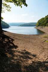 Blick auf den Rursee in der Eifel im Sommer bei schönem Wetter