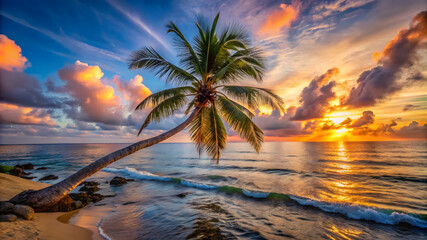 Tilted Palm Tree at Tropical Sunrise or Sunset. Perfect for: Tropical vacations, Summer holidays, Island getaways