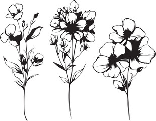 Set Flowers. Hand drawn vector illustration	