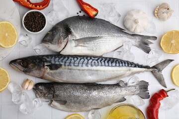 Sea food. Different types of raw fish and products on white tiled table, flat lay