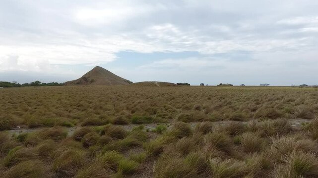 Beautiful savanna views