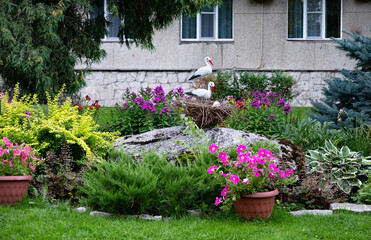 Lush flower bed with colorful blooms and greenery in a garden.