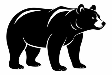 illustration of a bear