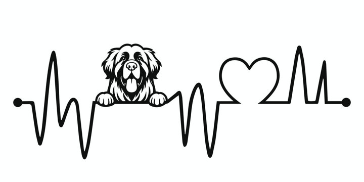 Heartbeat line with Leonberger Dog Peeking, Dog and Heartbeat frequency with Heart Love Vector illustration
