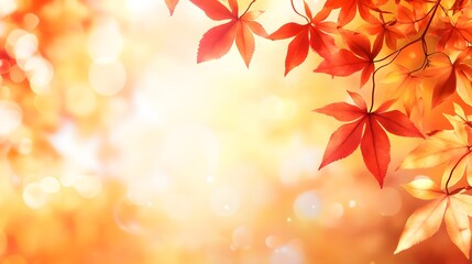 Fototapeta premium Autumn background with red and orange leaves and bokeh light effect. Autumn background with blurred nature scene