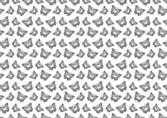 Set of Butterflies Isolated on a White Background. Illustration Template, Butterfly Spring Illustration