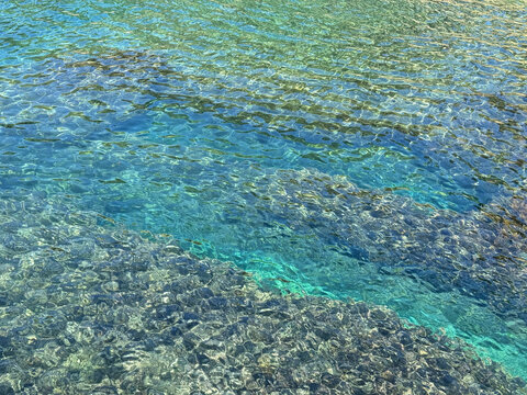 Clear sea water with algae.