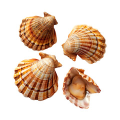 Obraz premium Shellfish, Seafood, Isolated on Transparent Background, Graphic Resource for Gourmet Advertising, Menu Design and Packaging
