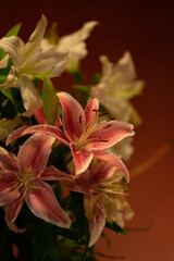 Obraz premium Lilies blooming at night