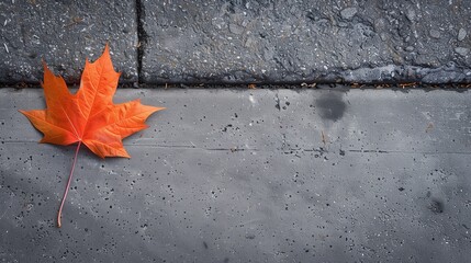 A bright orange maple leaf lying on a gray asphalt or concrete surface. The leaf stands out against the dark and textured surface.