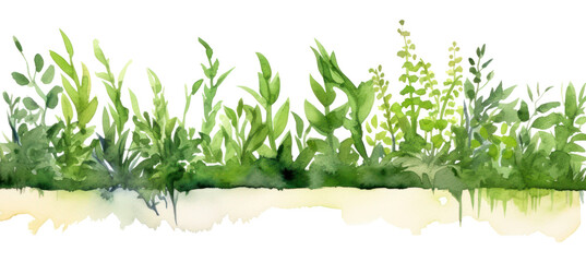 Obraz premium PNG Greenery watercolor border outdoors plant grass.