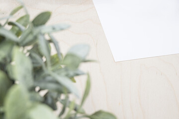 white sheet on wooden table with plant