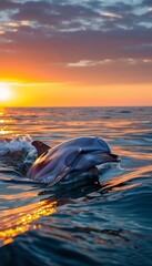Fototapeta premium A stunning image of a dolphin leaping through ocean waves at sunset, capturing the beauty and elegance of marine life in a vibrant, colorful setting.
