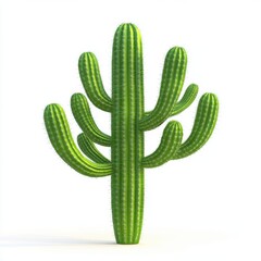 Isolated Cactus with Multiple Arms on White Background