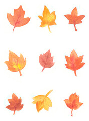 Watercolor illustration fall leaves orabge yellow red ornate
