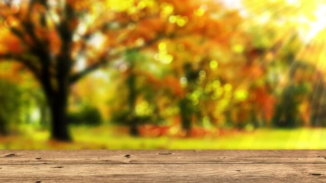 bright defocused lights in colorful autumn tree leaves with empty wooden table in foreground for product display, nature beer garden backdrop