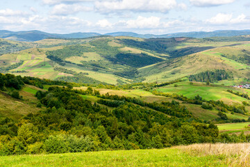 Fototapeta premium mountainous countryside landscape in autumn. green fields and trees on the hill. sunny day. view in to the distant valley. beautiful outdoor scenery of carpathians. rural region of ukraine