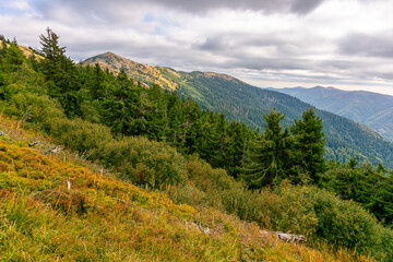 countryside autumn landscape with valley behind the forest on the grassy hill. carpathian mountain...