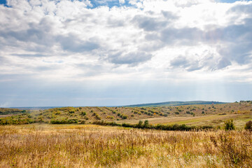 countryside of ukraine. cloudy afternoon. autumn landscape. grassy field and rolling hills. rural scenery. abandoned vineyard in the distance