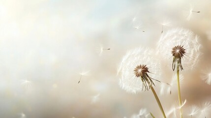 Obraz premium Elegant Lightness: Beige and Pastel Dandelion Wallpaper