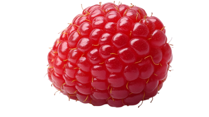 A close-up of a single ripe raspberry, showcasing its vibrant red color and detailed drupelets. The fruit appears fresh and juicy, perfect for a healthy snack or dessert.