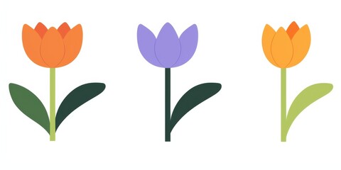 Fototapeta premium Three Colorful Flowers on a Clean White Background