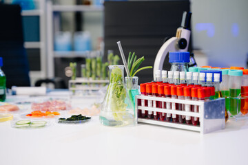 Food Science Laboratory Setup | Innovative Food Testing & Research