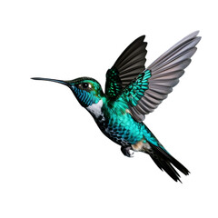 Fototapeta premium Detailed Hummingbird PNG Cutout on a Transparent Background, Versatile for Use in Digital Design and Artistic Projects