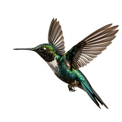 Fototapeta premium Elegant Hummingbird PNG Cutout Set Against a Clear Backdrop, Perfect for Professional and Creative Use in Various Designs