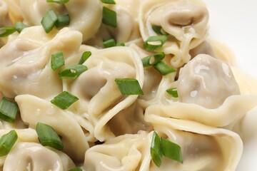 Delicious pelmeni with green onion on plate, closeup