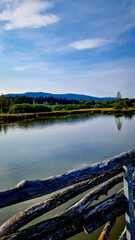 Scenic part of the educational trail Ol&scaron;ina in the &Scaron;umava region, with a wooden path winding through wetlands, meadows and trees. 
