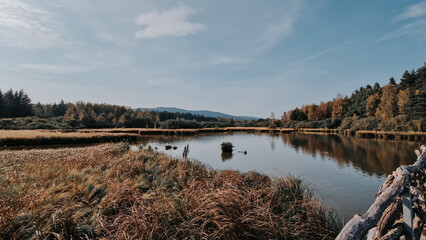 Scenic part of the educational trail Ol&scaron;ina in the &Scaron;umava region, with a wooden path winding through wetlands, meadows and trees. 
