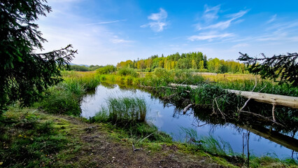Scenic part of the educational trail Ol&scaron;ina in the &Scaron;umava region, with a wooden path winding through wetlands, meadows and trees. 
