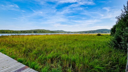 Scenic part of the educational trail Ol&scaron;ina in the &Scaron;umava region, with a wooden path winding through wetlands, meadows and trees. 
