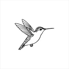 Hummingbird vector illustration logo concept design
